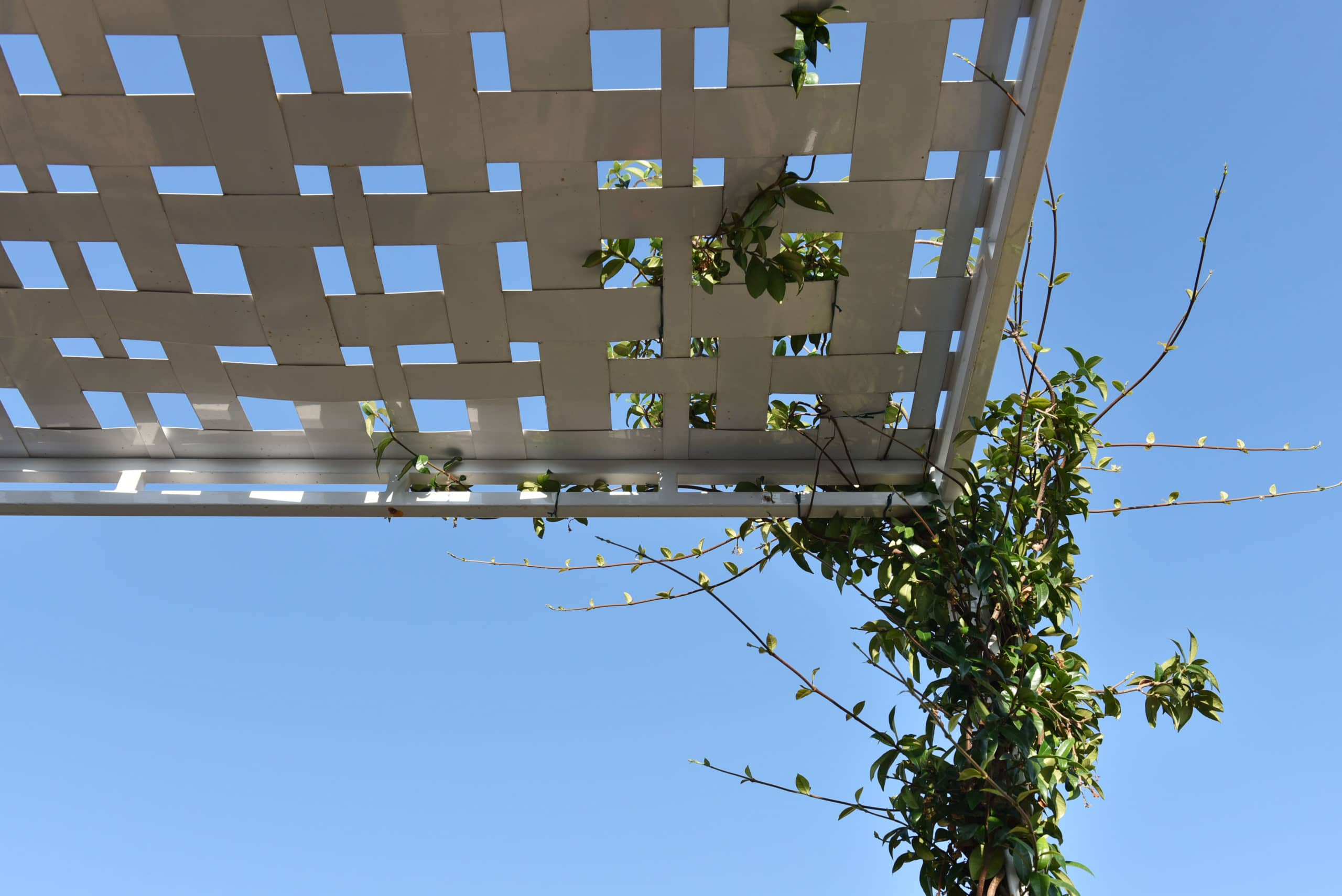terrazzo con gazebo