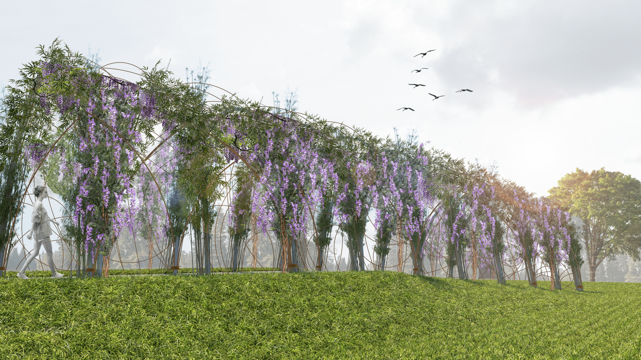 Vista 7 copia 2 traformata